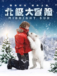北极大冒险[国语]
